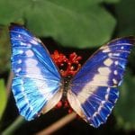 article image - 